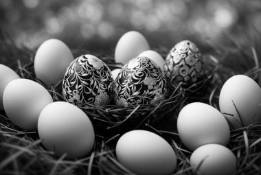 what does dream about eggs mean