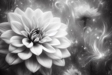 what does dream about flower mean