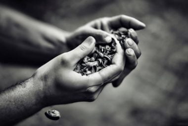 dreams about removing leeches