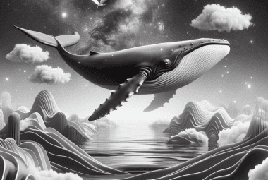 dreams about whales